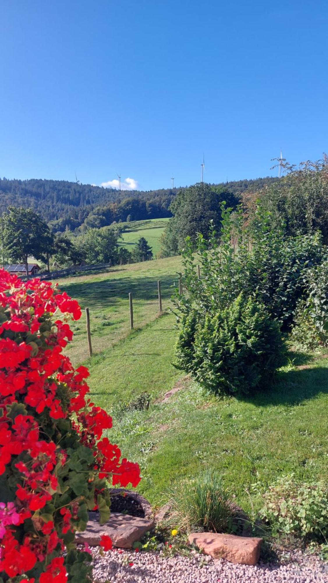 Bergfeldhof Villa Haingrund ภายนอก รูปภาพ